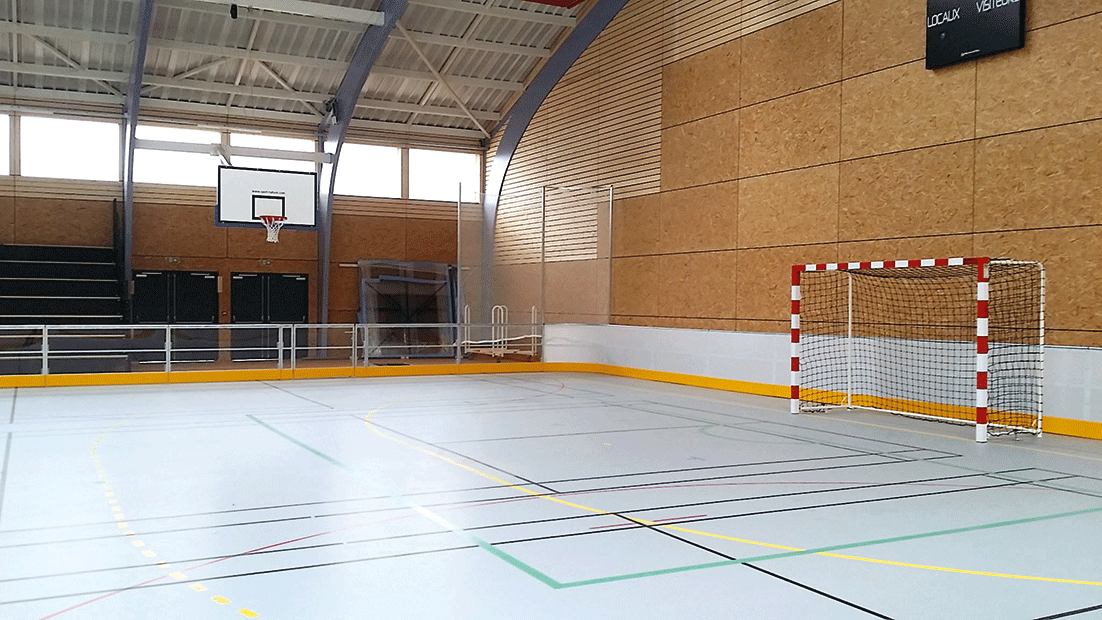 rink hockey | Sport Nature